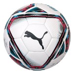 teamFINAL 21.2 FIFA Quality Pre Ball Pum